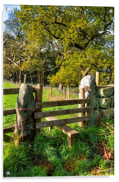 wooden Stile to Newton Woods in North Yorkshire Acrylic by Tim Hill