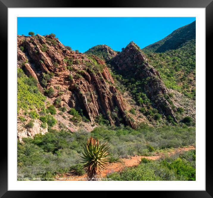 Waaipoort geology Framed Mounted Print by Adrian Turnbull-Kemp