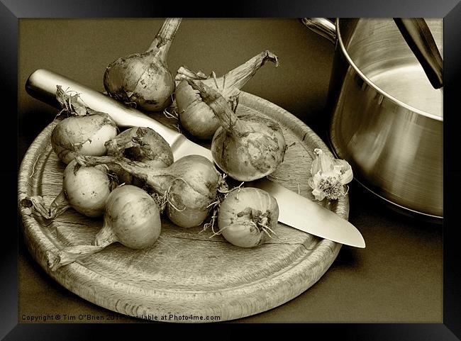 Onions Home Grown Framed Print by Tim O'Brien