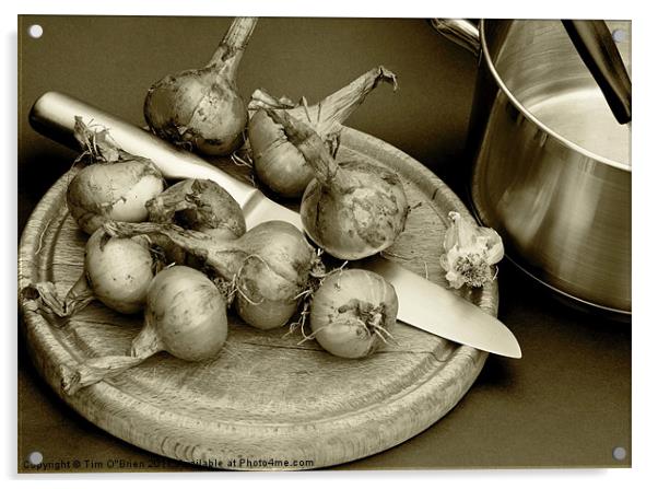 Onions Home Grown Acrylic by Tim O'Brien