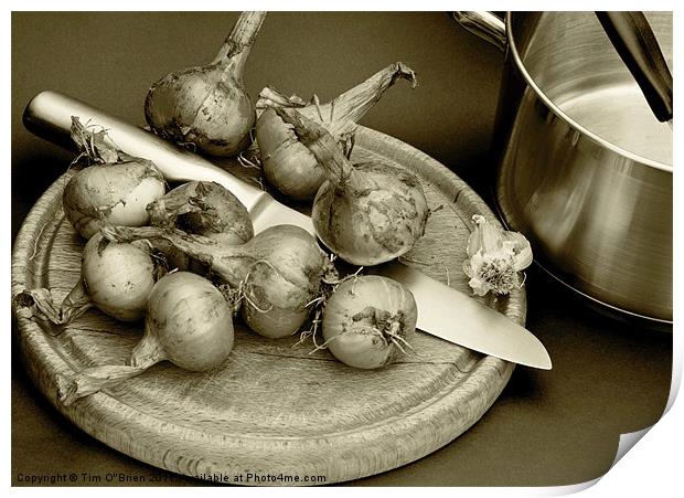Onions Home Grown Print by Tim O'Brien