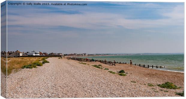 Pevensey Bay View of Hastlings Canvas Print by Sally Wallis