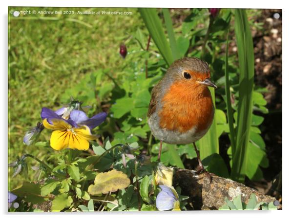 Majestic Robin Redbreast in a Serene Garden Acrylic by Andrew Bell