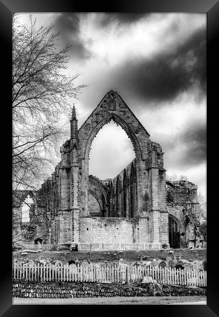 Bolton Abbey - Mono Framed Print by Glen Allen