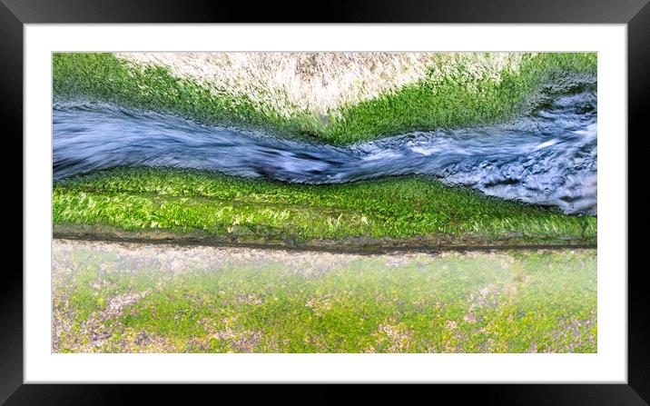 Green, green, grey.  Framed Mounted Print by Steve Taylor