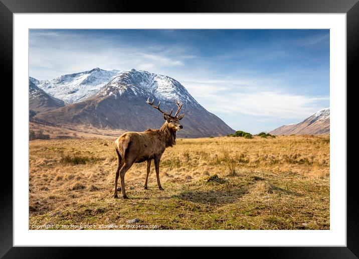 Stag in Glen Etive Framed Mounted Print by Jim Monk