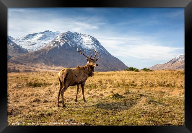 Stag in Glen Etive Framed Print by Jim Monk