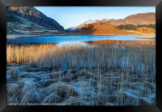 Golden Reeds, Loch Shiel Framed Print by Jim Monk