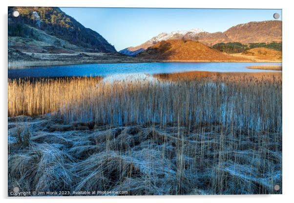 Golden Reeds, Loch Shiel Acrylic by Jim Monk