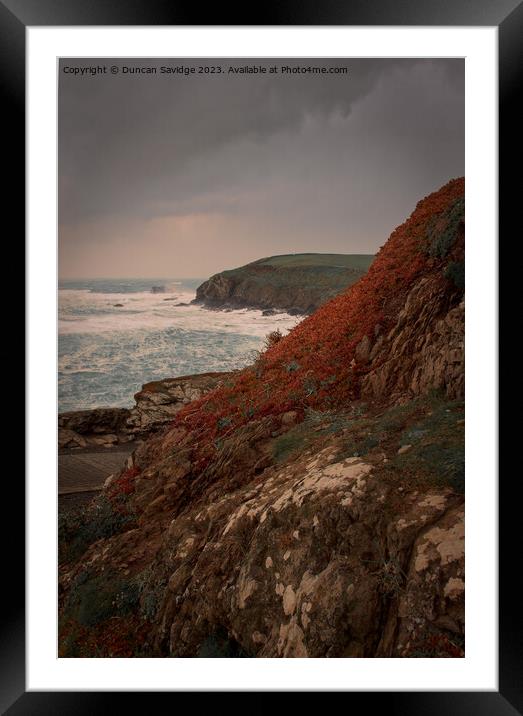 Stormy portrait of the Lizard Point in Cornwall Framed Mounted Print by Duncan Savidge