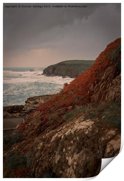 Stormy portrait of the Lizard Point in Cornwall Print by Duncan Savidge
