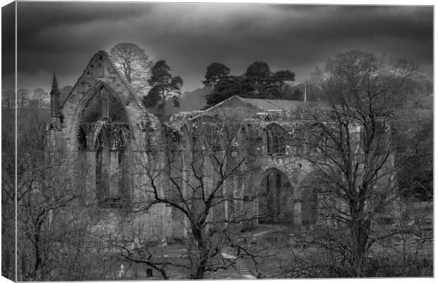 Bolton Abbey Winter Scene  Canvas Print by Glen Allen