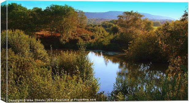 Secret Pond Canvas Print by Mike Streeter