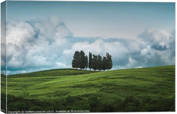 Group of trees and storm clouds in the background. Canvas Print by Stefano Orazzini
