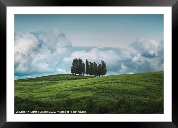 Group of trees and storm clouds in the background. Framed Mounted Print by Stefano Orazzini