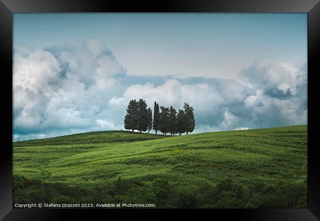 Group of trees and storm clouds in the background. Framed Print by Stefano Orazzini