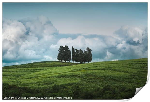 Group of trees and storm clouds in the background. Print by Stefano Orazzini