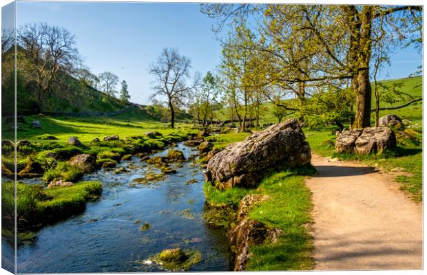 Malham Beck: Picturesque Stream in Yorkshire. Canvas Print by Steve Smith