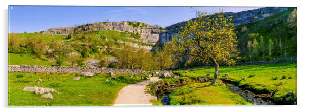 Malham Cove Lone Tree: Yorkshire Dales Acrylic by Tim Hill