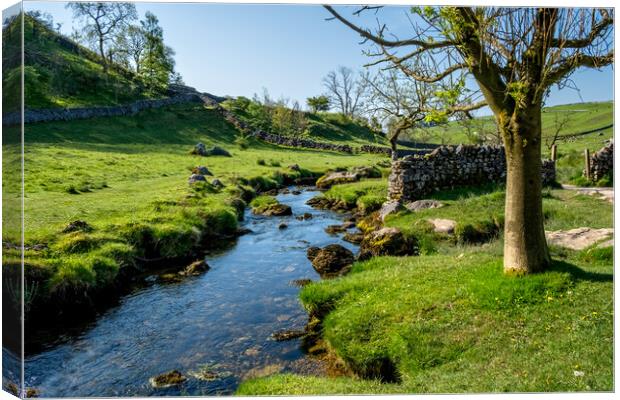 Malham Beck: Picturesque Stream in Yorkshire Canvas Print by Steve Smith