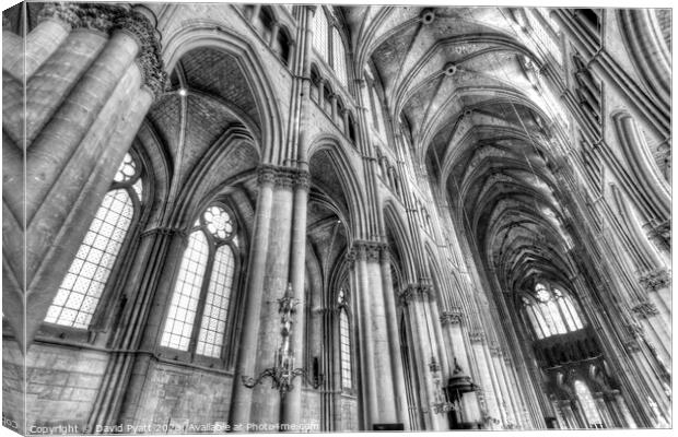 Notre Dame Cathedral Reims   Canvas Print by David Pyatt