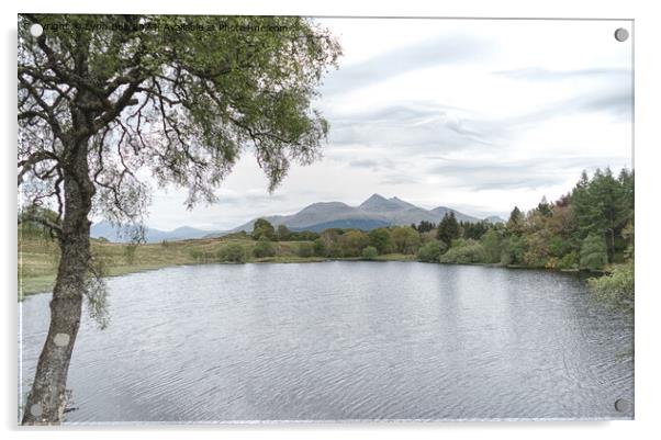 Loch Angus Argyll Acrylic by Lynn Bolt