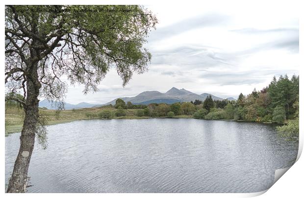 Loch Angus Argyll Print by Lynn Bolt