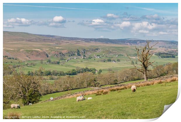 Spring Morning in Upper Teesdale (1) Print by Richard Laidler