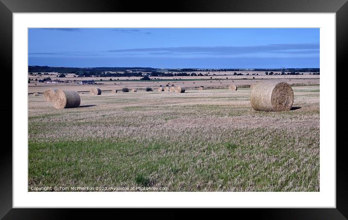 The Majestic Laich of Moray Framed Mounted Print by Tom McPherson