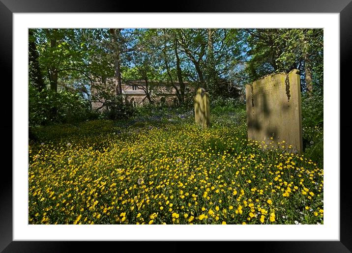 Churchyard Wildflowers and Buttercups Framed Mounted Print by Martyn Arnold