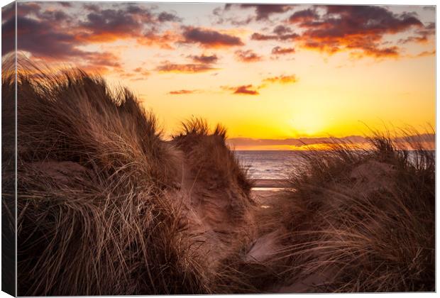 Formby Beach Sunset Canvas Print by Steve Heap