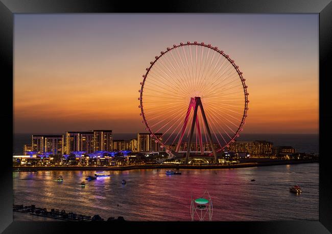 Light show on Ain Dubai observation wheel at sunse Framed Print by Steve Heap