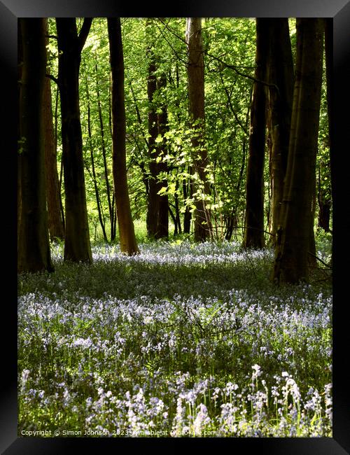 Plant tree Framed Print by Simon Johnson