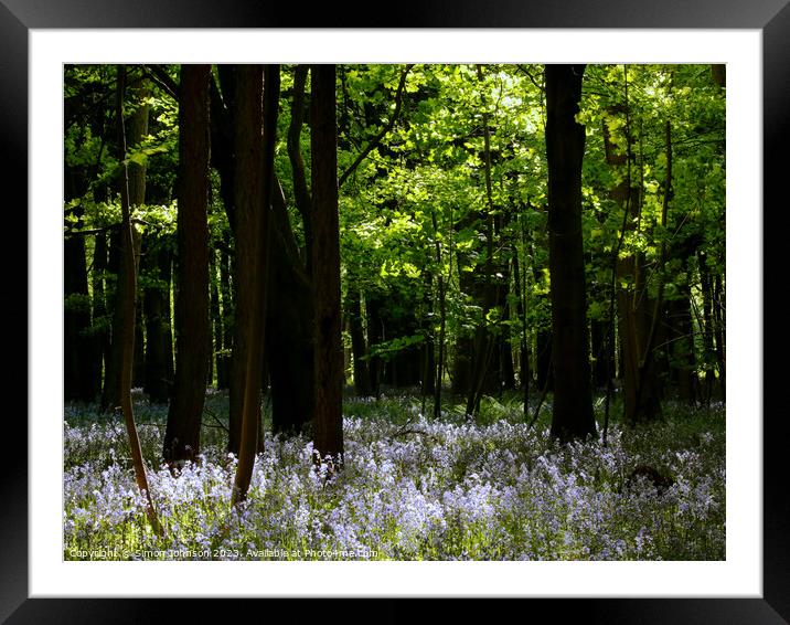 Bluebell glade Framed Mounted Print by Simon Johnson