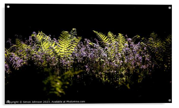sunlit ferns and bluebells Acrylic by Simon Johnson