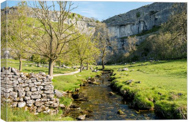 Malham Cove Photography: Yorkshire Dales Canvas Print by Tim Hill