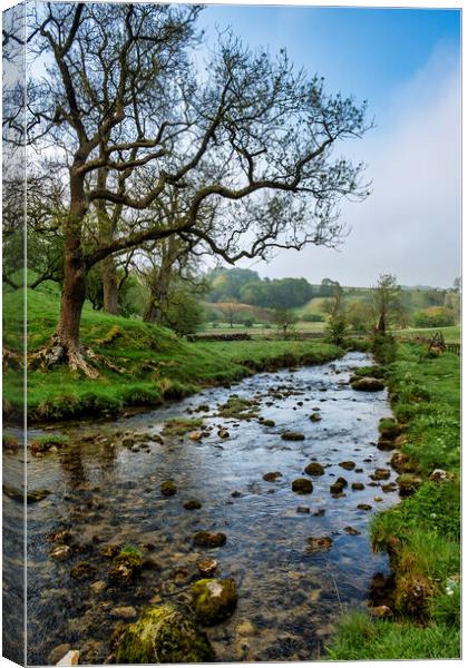 Malham Beck Yorkshire Dales Canvas Print by Tim Hill