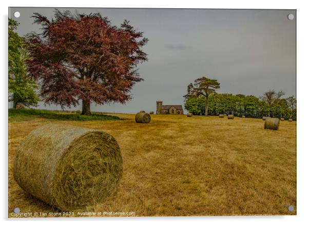 Devon Harvest Acrylic by Ian Stone