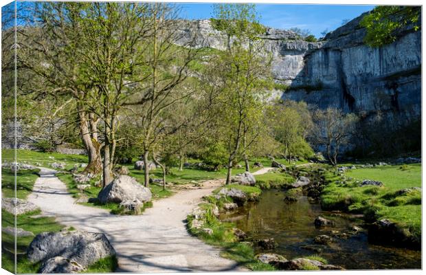 Iconic Malham Cove: Yorkshire Dales Canvas Print by Tim Hill