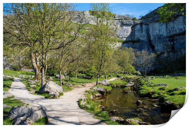 Iconic Malham Cove: Yorkshire Dales Print by Tim Hill