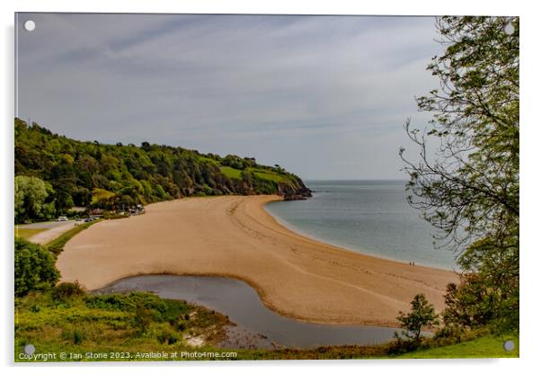 Beautiful Devon beach  Acrylic by Ian Stone