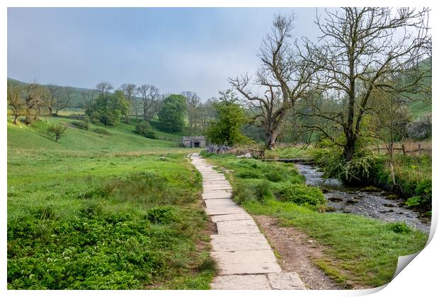 Malham's Winding Path to Janet's Foss Print by Steve Smith