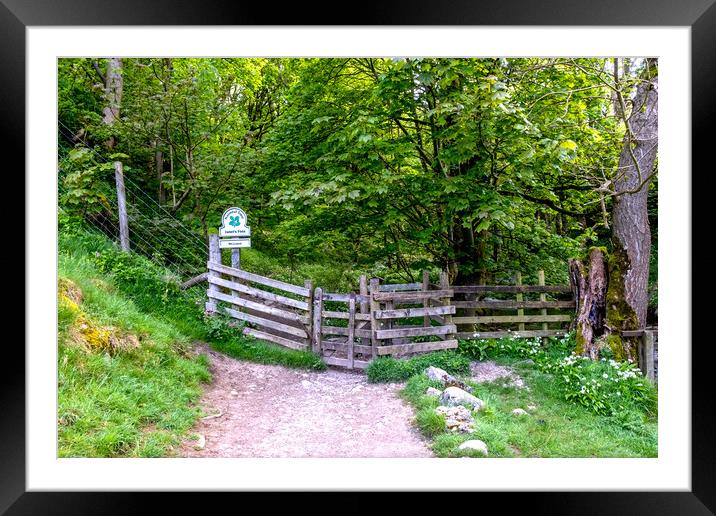 Janet's Foss Woods: Enchanting, Serene, and Picturesque. Framed Mounted Print by Steve Smith
