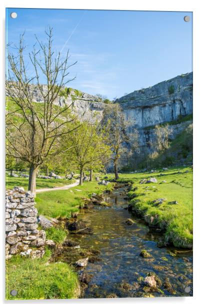 Iconic Malham Cove: Yorkshire Dales Acrylic by Tim Hill