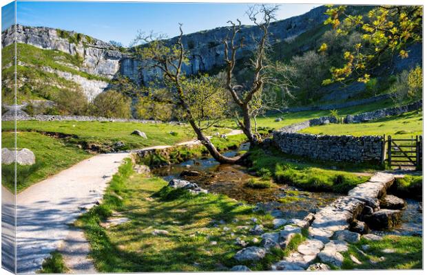 Iconic Yorkshire Dales Landscape: Malham Cove Canvas Print by Tim Hill