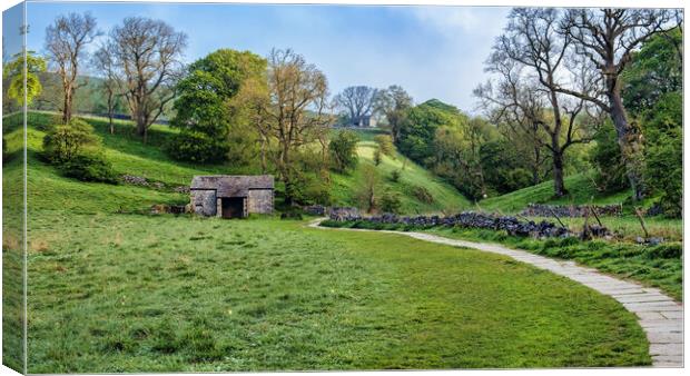 Path to Janet's Foss: Yorkshire Dales Canvas Print by Tim Hill