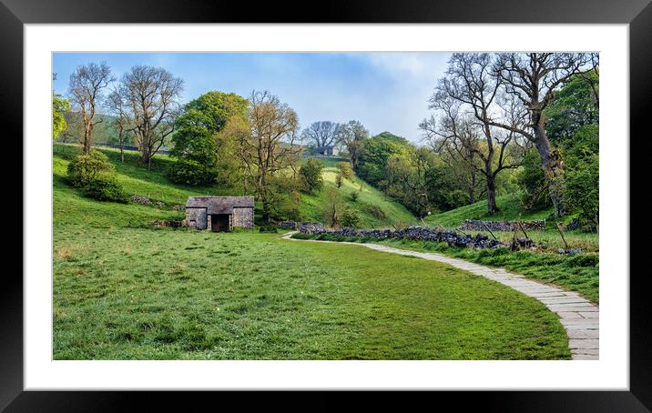 Path to Janet's Foss: Yorkshire Dales Framed Mounted Print by Tim Hill
