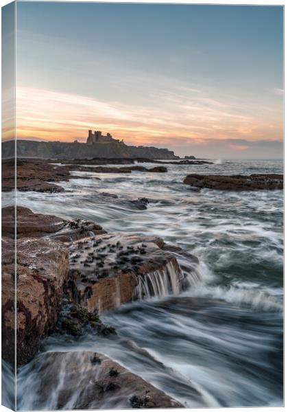 Tantallon Castle at Sunset  Canvas Print by Miles Gray