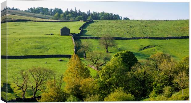 Yorkshire Dales Landscape: Malham Canvas Print by Tim Hill