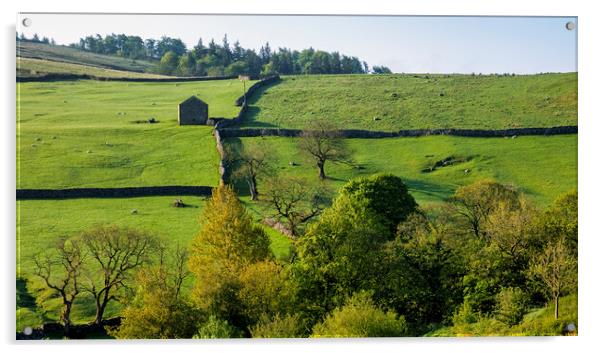 Yorkshire Dales Landscape: Malham Acrylic by Tim Hill